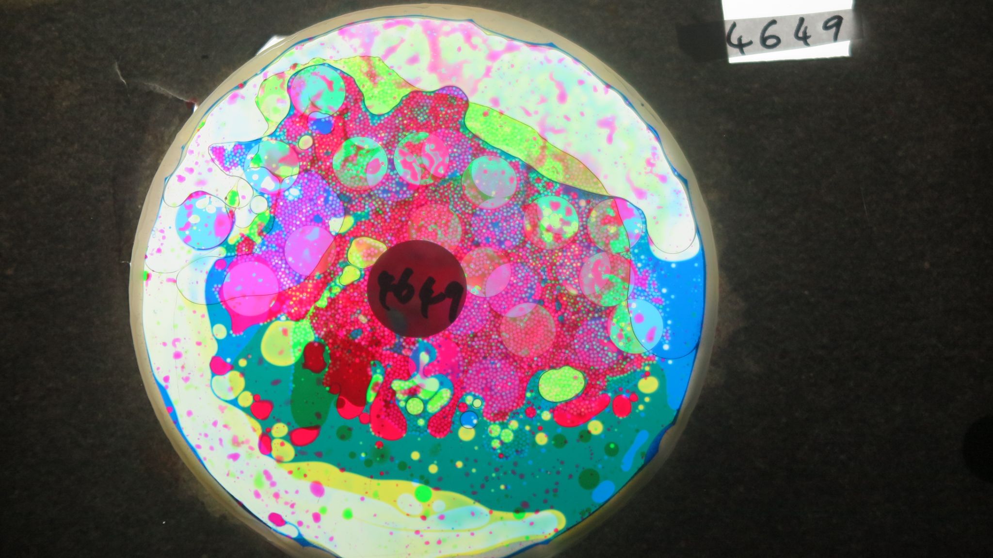 BV4649 bubble vision oil wheel